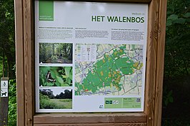 Walenbos