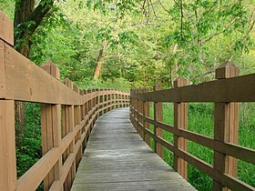 Wooden walkway