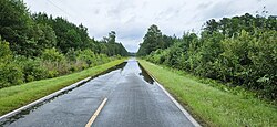 Eddie L. Jones Road in Ivanhoe, after Hurricane Idalia (August 2023)