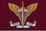 Air Assault Forces