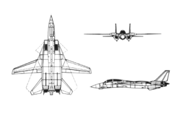 Grumman F-14 Tomcat