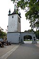 Taubenschlag im Torhaus[3]