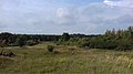 Uitzicht vanaf ecoduct naar Spaanderswoud