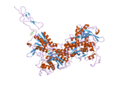 2e4y: Crystal structure of the extracellular region of the group II metabotropic glutamate receptor complexed with 2R,4R-APDC