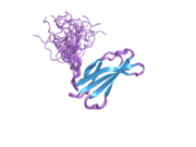 2h45: Solution structure of the second type III domain of human Fibronectin: ensemble of 25 structures