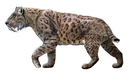 Smilodon