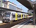 trans regio (TR) 20 Fahrzeuge⁠** siehe Anmerkung unten