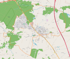 Mapa konturowa Tuszyna, blisko centrum na lewo znajduje się punkt z opisem „Tuszyn-Las”