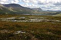 Naturreservat Vindelfjällen