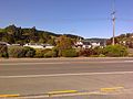 Houses in Waihola