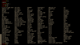 xterm met Bash toont een lijst van /etc