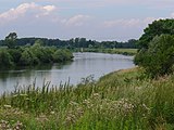 Dunajec w Białej