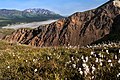 South aspect of Mt. Sheldon on the skyline