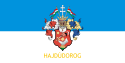 Hajdúdorog – Bandiera