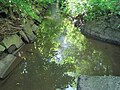 Zusammenfluss von Flehbach (vorne) und Bruchbach (rechts). Im weiteren Verlauf heißt der Bach Faulbach