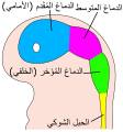 und (لغة غير معروفة)