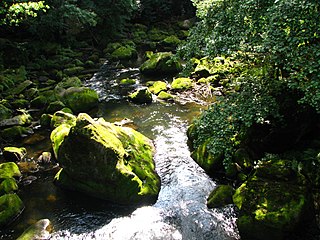 Die Irreler Wasserfälle der Prüm von der Brücke aus (2011)