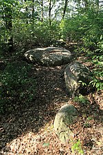 Großsteingrab Püttkesberge