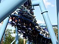 Manta w SeaWorld Orlando