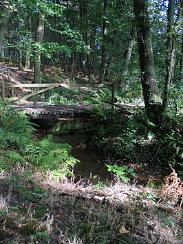 Nationaal Park Bosland