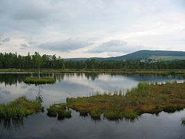 Chalupská slať veen in Šumava Nationaal Park