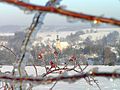 Uitzicht op Dobków