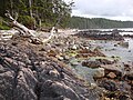 High tide at the Christensen Coast section between Laura Creek and Shuttleworth Bight