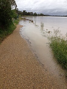 Lake Albert