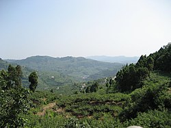 Longquan Mountains in Longquanyi