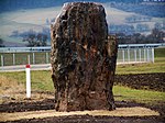 Menhir von Derenburg