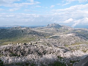 Hochfläche des Mount Buffalo von unterhalb The Horn aus