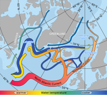 Karte des Nordatlantiks, in der mit mehreren Pfeilen Wasserströme eingezeichnet sind. Hauptströmung ist der warme Nordatlantikstrom, der auf seinem Weg in den Norden an Stärke verliert und kälter wird. Bei Irland verzweigt sich der Strom in einen Richtung Island und Grönland gehenden Strom und den Norwegischen Strom, der entlang der norwegischen Westküste führt.