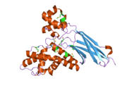 2q0z: Crystal structure of Q9P172/Sec63 from Homo sapiens. Northeast Structural Genomics Target HR1979.