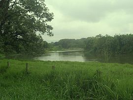 Der Río Cauca bei La Virginia