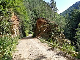 Imediat în amonte de cascada Buciaş, astăzi.