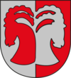 Wappen von St. Leonhard im Pitztal