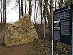 Eselstratt oberhalb von Trittenheim (Mosel)