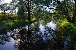 De Ilmatsalu vlak bij de monding