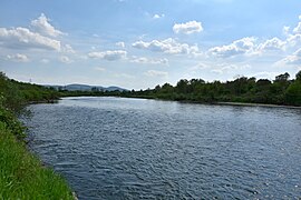 Dunajec w Janowicach