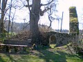 Ruine der Kapelle Sankt Rochus und Sankt Leonhard