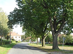 Centre of Krakovany