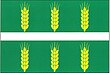 Vlag