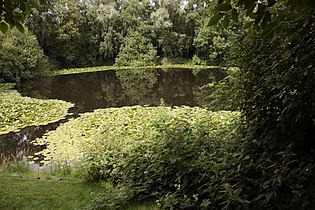 Crater of the 1917 deep mine fired at Spanbroekmolen