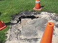 A newly discovered tar pit at La Brea Tar Pits.