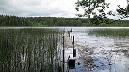 Het Viisjaagumeer bij Vellavere