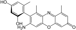 α-Amino-orcein