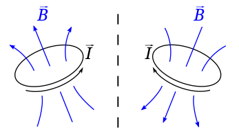 A loop of wire (black), carrying a current, creates a magnetic field (blue). When the wire is reflected in a mirror (dotted line), the magnetic field it generates is not reflected in the mirror: Instead, it is reflected and reversed. The position of the wire and its current are (polar) vectors, but the magnetic field is a pseudovector.