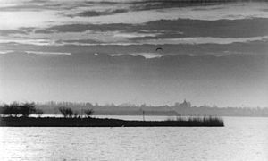 Blick über die Bucht Dassower See (1990)