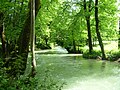 Eau morte, Zufluss des Lac d’Annecy