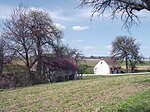 Flinsdorfer Kellern in Flinsdorf (Obritzberg-Rust)